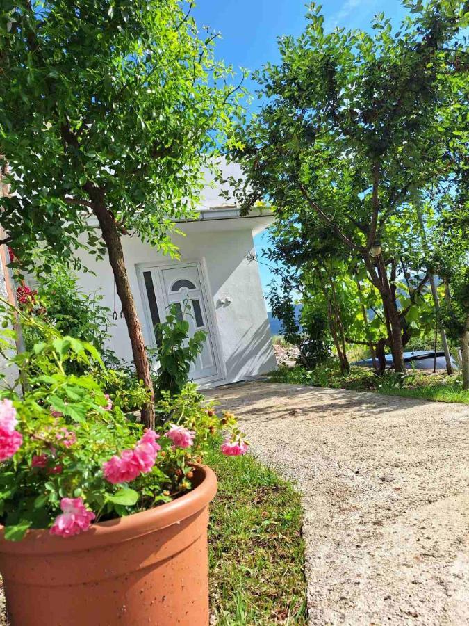 Apartman Glorija Cattaro Esterno foto