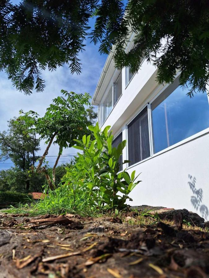 Apartman Glorija Cattaro Esterno foto